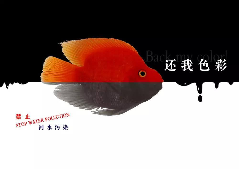 污水處理藥劑，污水處理，水處理